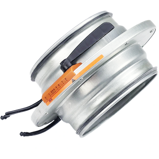 Irisklep 100 mm - RVS 316L - IRIS100