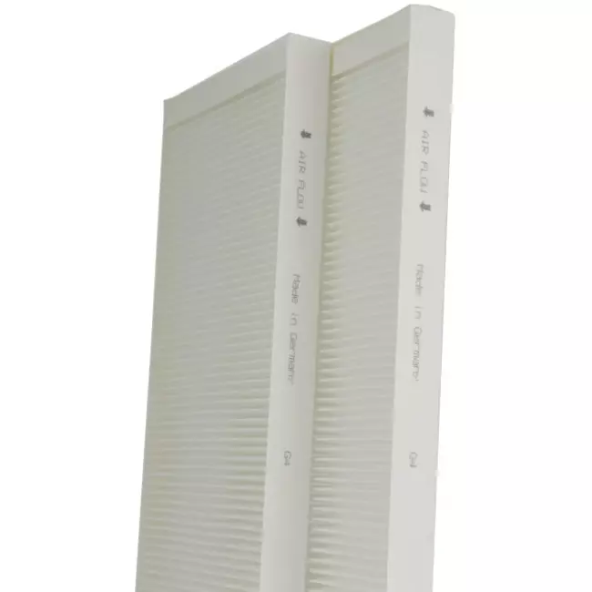Filterset grossier Buva EcoStream 65% marque maison - 2 pièces
