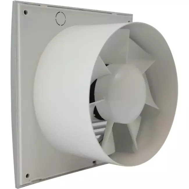 Badkamerventilator Ø 100 mm Zilver - standaard EE100S