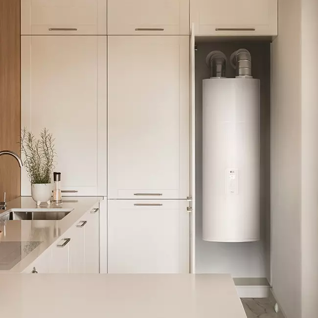 LG Therma-V warmtepompboiler 150L 230V - WH15ES