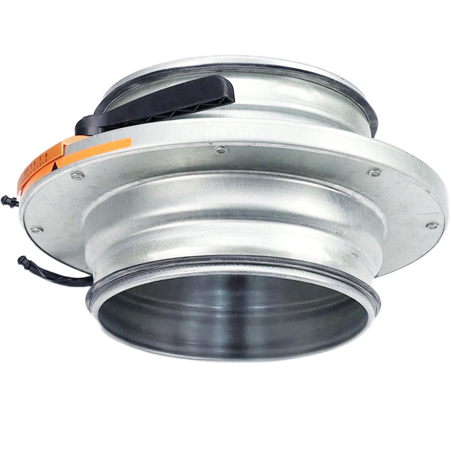Irisklep 100 mm - RVS 316L - IRIS100